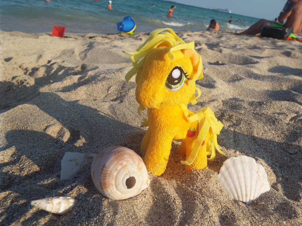 Jackie Shell MLP-Jackie's Shell Collection by KrazyKari on DeviantArt