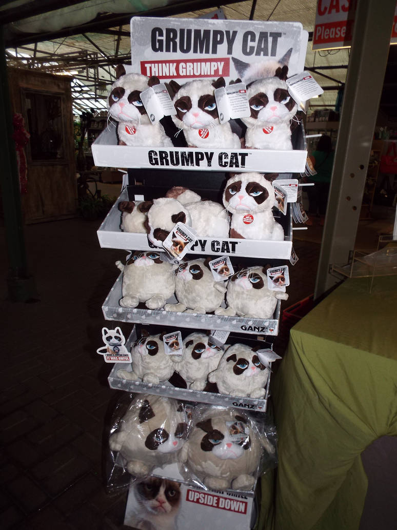 Grumoy Cat Plushie Stand by KrazyKari on DeviantArt