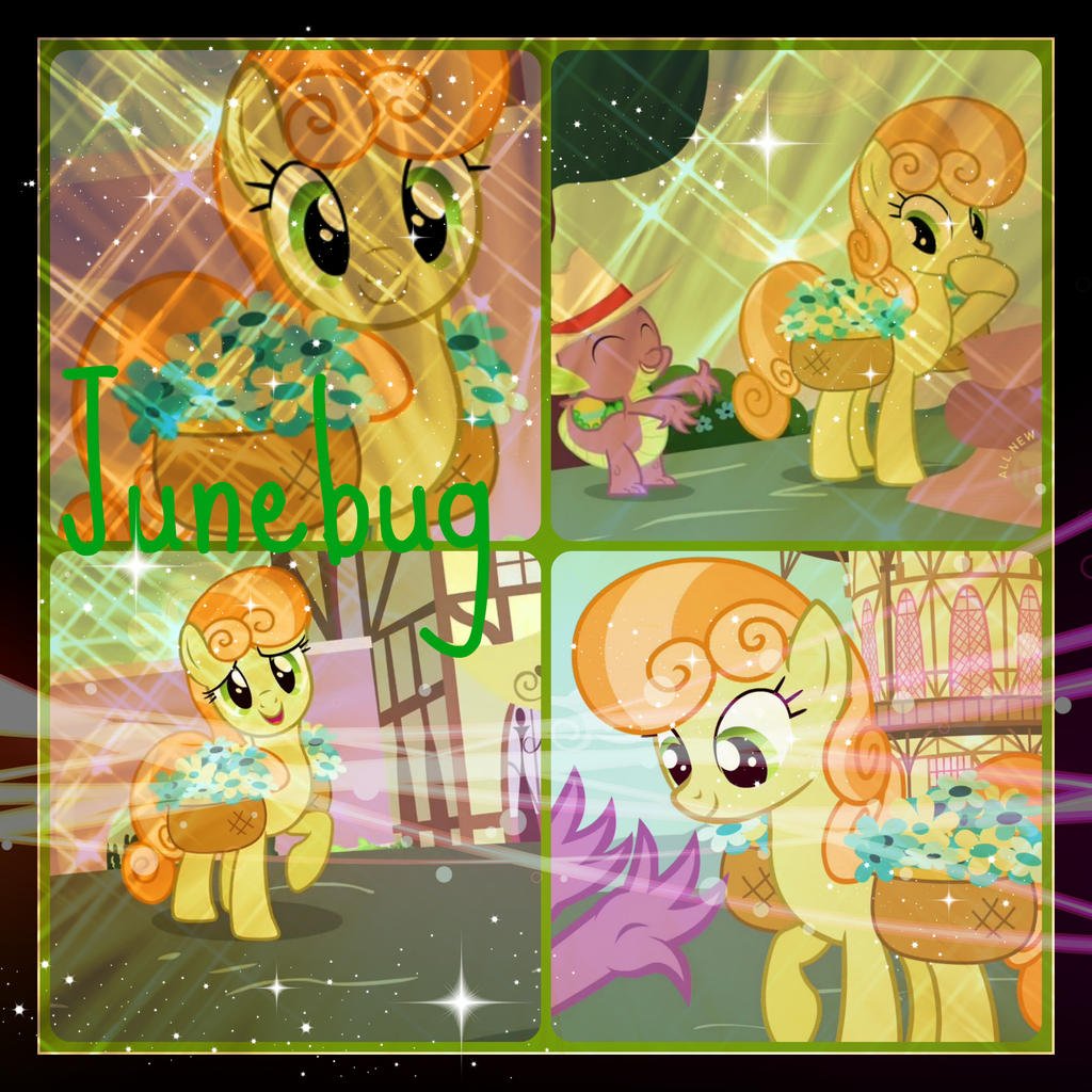 ( MLP ) Junebug Collage by KrazyKari on DeviantArt