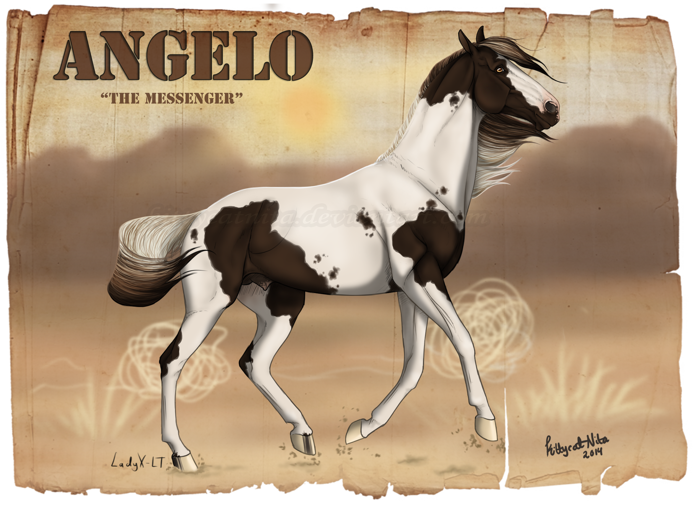 Angelo