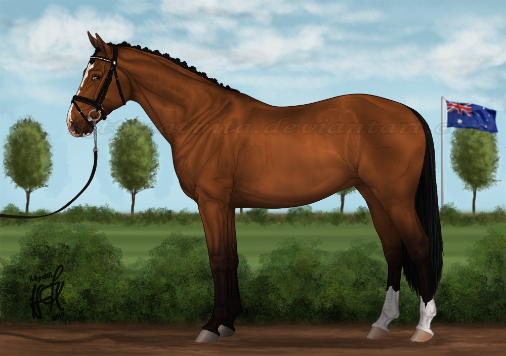 Beauty - Inspection AUSe OL 2014 by KittycatNita on DeviantArt