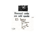 Diseased cattle