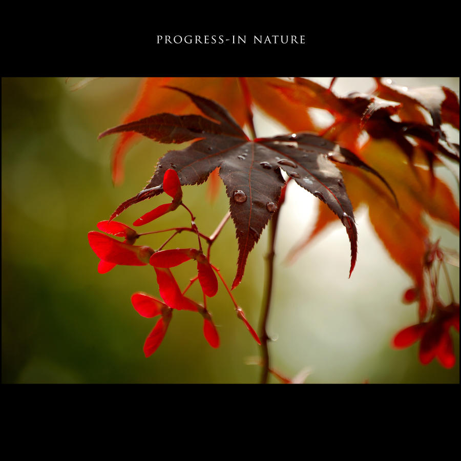 Progress-in Nature IV-2