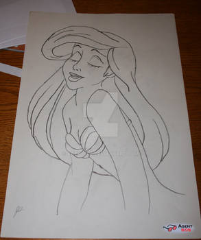 Sketch Number 1 Ariel