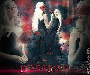 Divine Roses