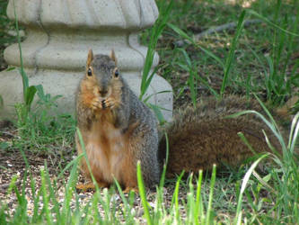 Thanks for the Grub, Bub