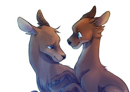 Explore the Best Kangaroos Art | DeviantArt