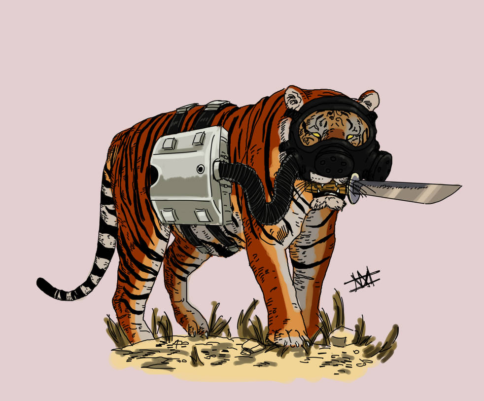 Tiger assassin