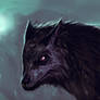 Dark wolf