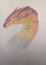 Dragon color pencils prismacolor