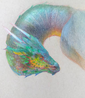 Dragon with colored pencils+Time lapse video