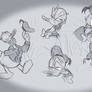 Donald Duck Studies