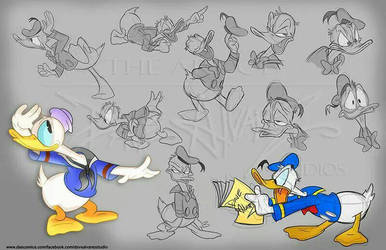 More Donald Duck studies 