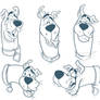 Scooby Faces 