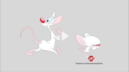 Pinky and the Brain walk cycle