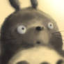 My Neighbour -is not- Totoro