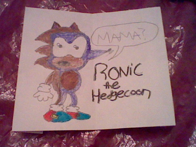 Ronic The Hedgecoon