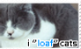 I LOAF Cats [F2U]