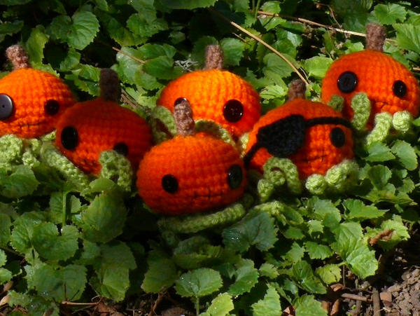 Octo Pumpkins Galore