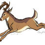 Mule Deer speed-sketch