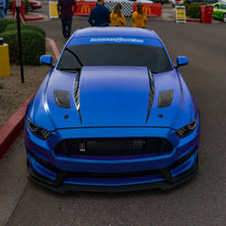 Mustang