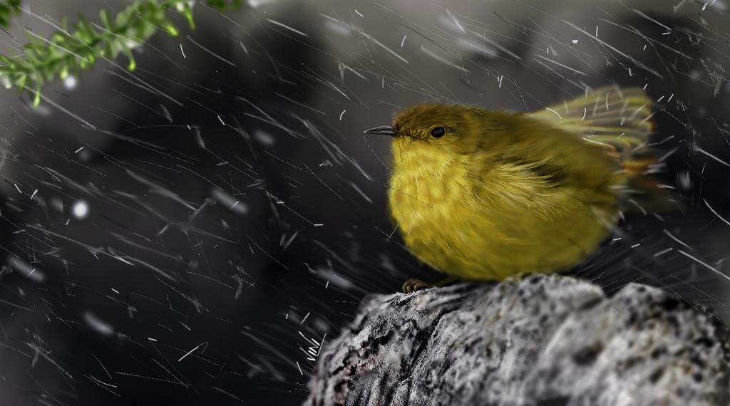 A Rainy day by vinigal123 A Rainy day by vinigal123