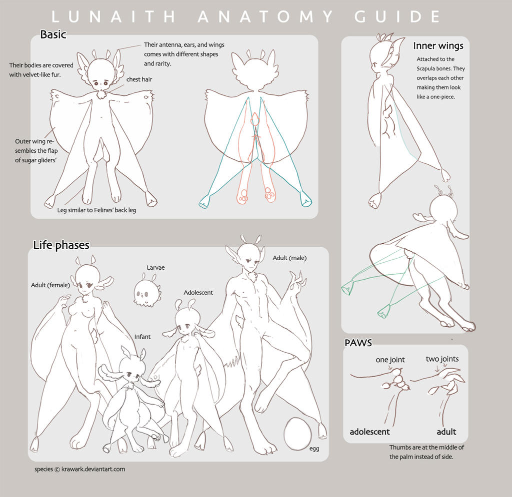 LUNAITH BASIC part1 by Krawark
