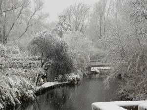 Snow, Leiden