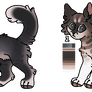 cat adopts | closed