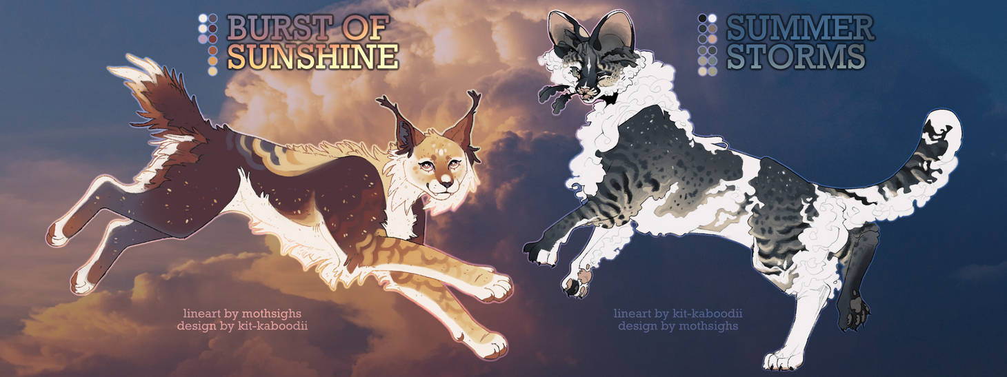 sunny + stormy | wildcat adopts | closed