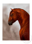 Aurelio, the golden horse by QueenOfGoldfishes