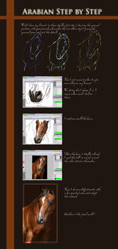 Arabian-Step by Step