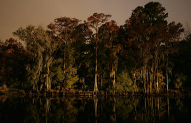 Caddo Lake by terraforms