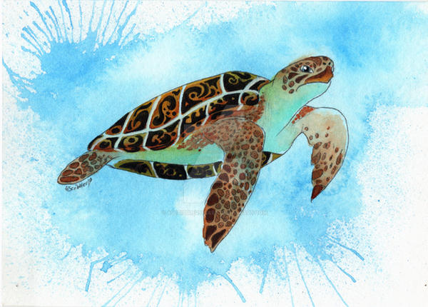 Sea Turtle 1