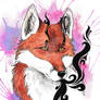 Whispers and curiosity