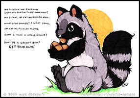 Mr Raccoon Mr Raccoon