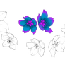 BRUSHES: Yflowers