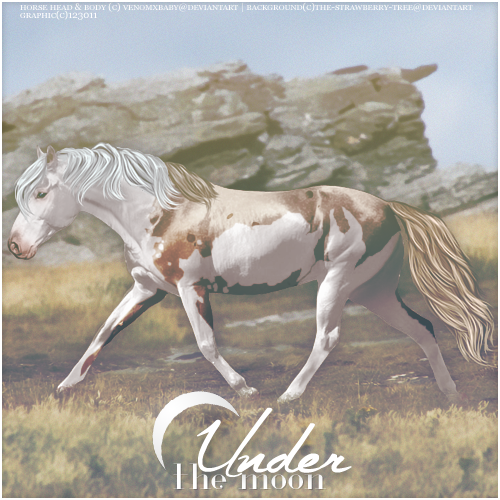 Under The Moon - Horse Eden