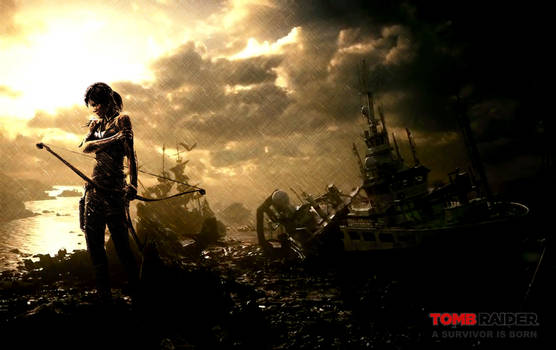 Tomb Raider Survivor-Win'sCreative