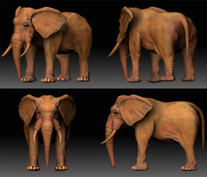 Zbrush Elephant