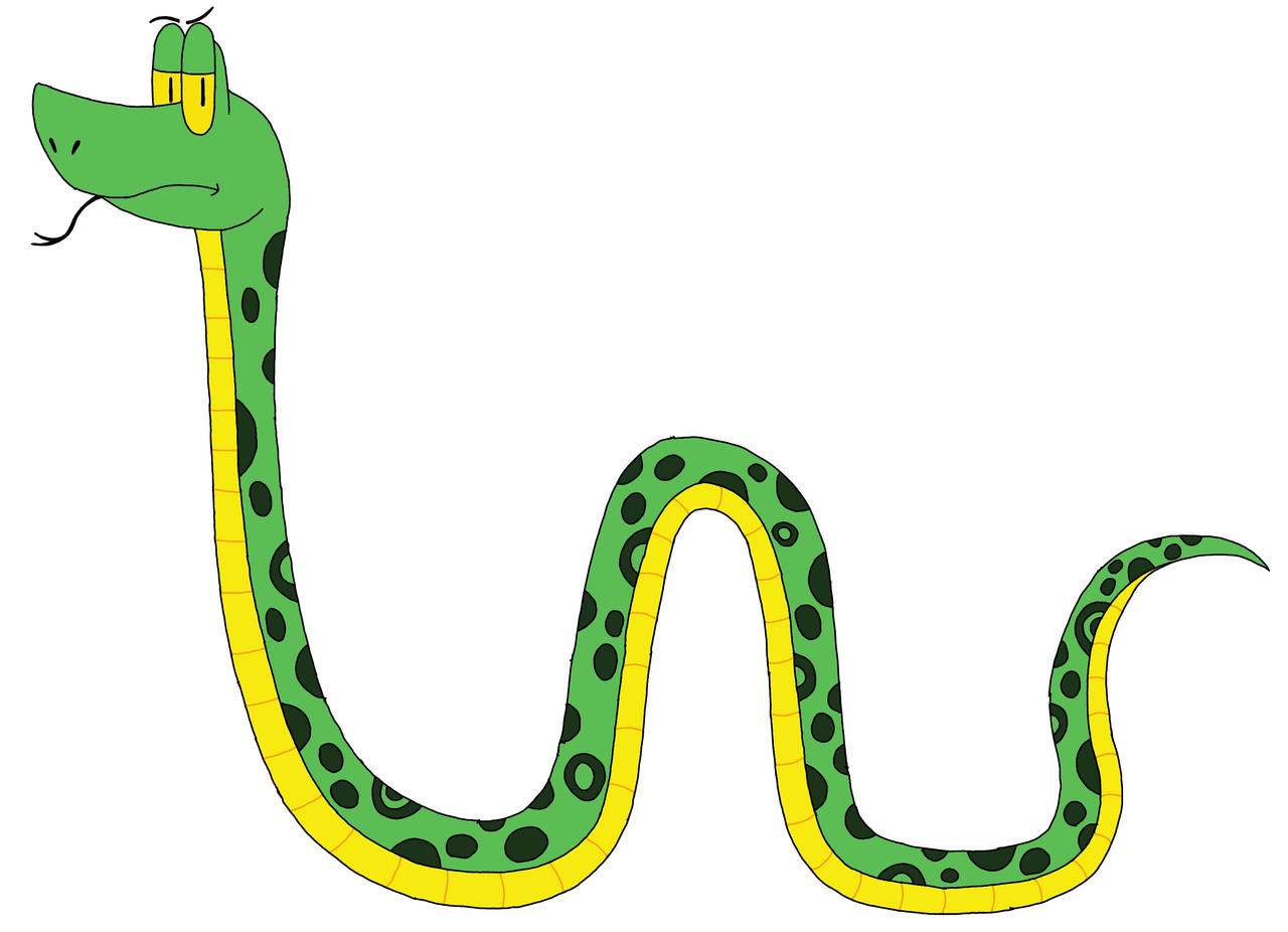 John Python Drawings John the Python by KillerTurtle99 on DeviantArt