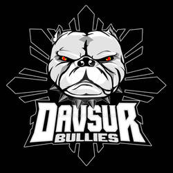 DavSur Bullies