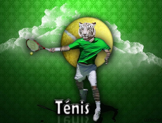 tenis