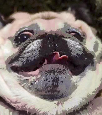 Repix Jabba the Pug by NeonCrious on DeviantArt