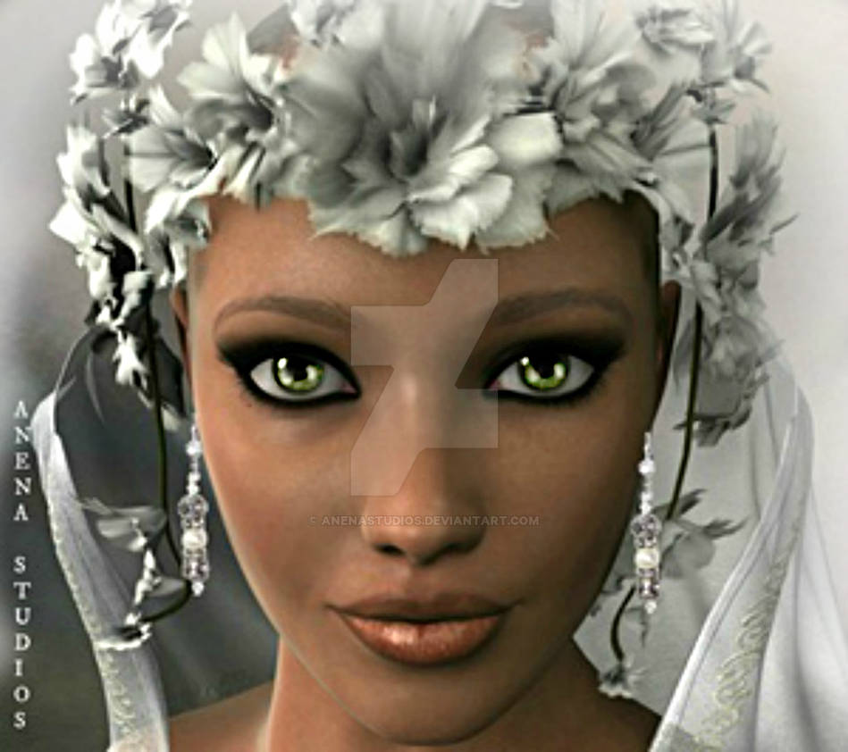 The bride By ANena Studios by ANenaStudios