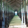 under the south island pier