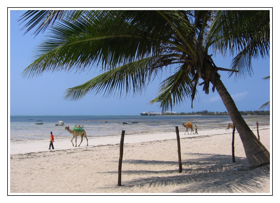 Mombasa Beach