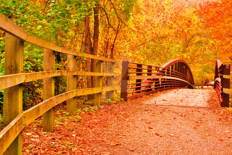 Autumn bridge