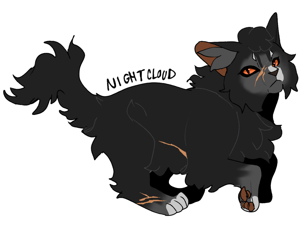 Nightcloud by Jurass1cWarr1ors on DeviantArt