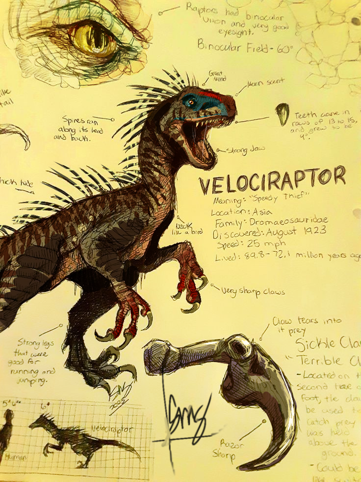 Yellow Electrical Raptor Deviantart Raptor by Jurass1cWarr1ors on DeviantArt